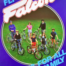 1980 Falcon Catalogue