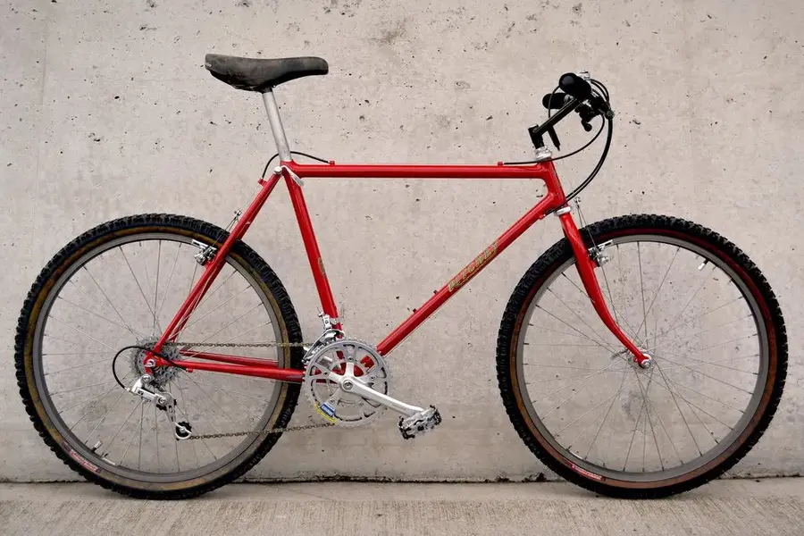 Kaiser's Ritchey Team Comp.webp