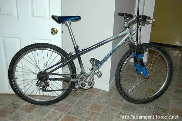 1996 Hot fishbelly size 14.webp