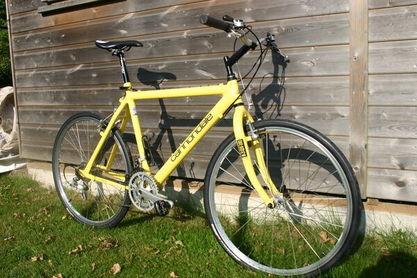 yellow Cannondale.jpg