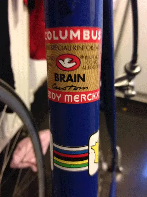 bike7.webp