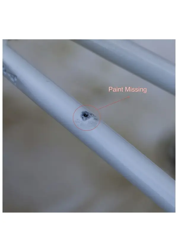 missing paint.webp