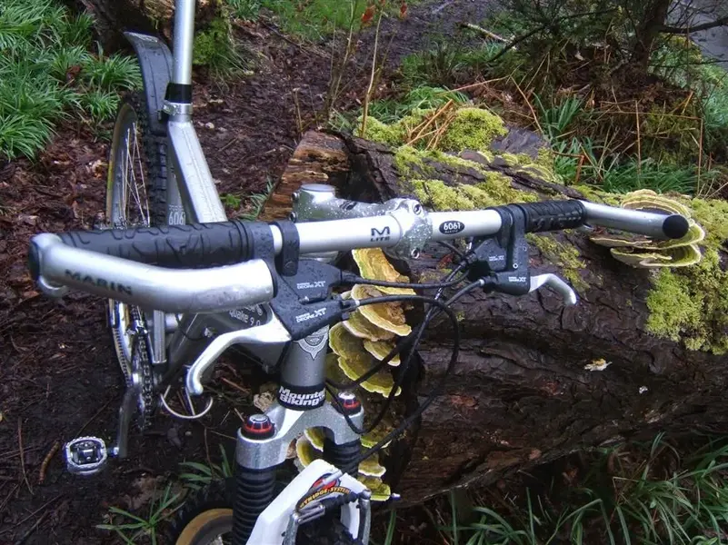 Marin Quake 9 Out & About 011 (Custom).webp