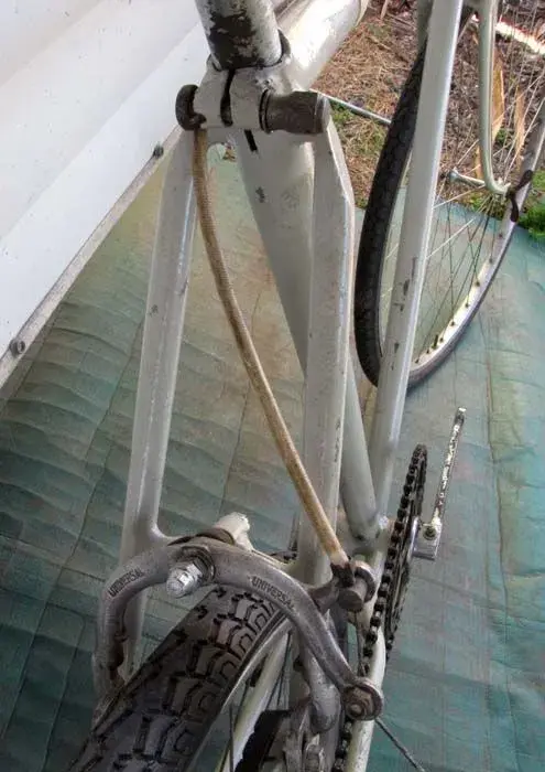rearstays.webp