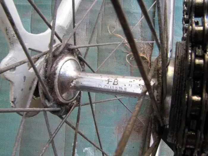 FB RGianniniHUB.webp