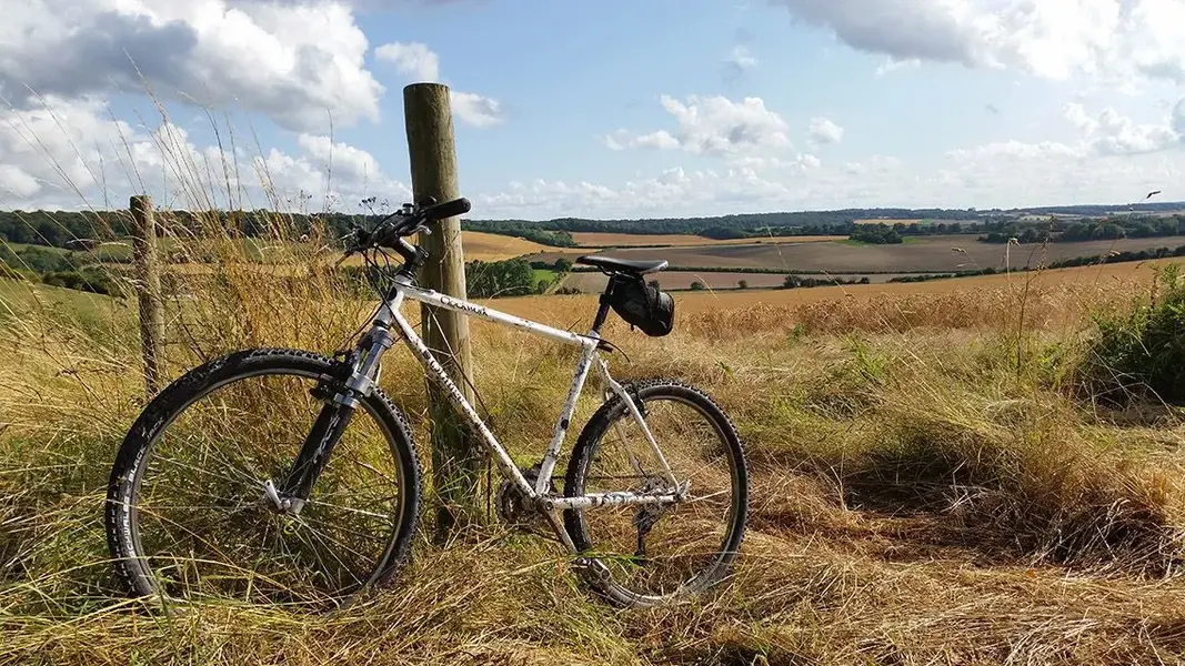 Orange Clockwork White 2.webp