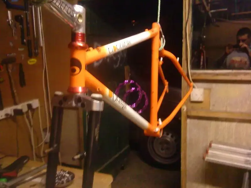 DSC00320 (Large).webp