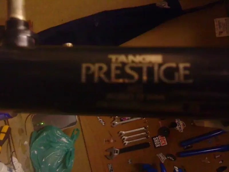 DSC00318 (Large).webp