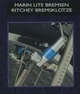 Marin 1995 canti.webp