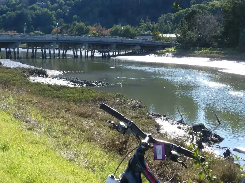 Along the creek.webp