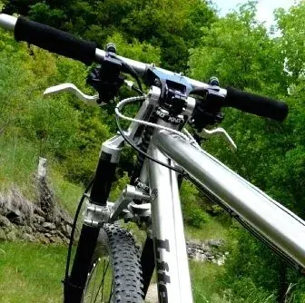 Fournales integrated stem.webp