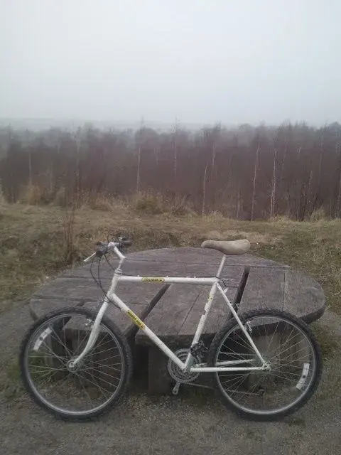 2012-03-02 17.19.49.webp