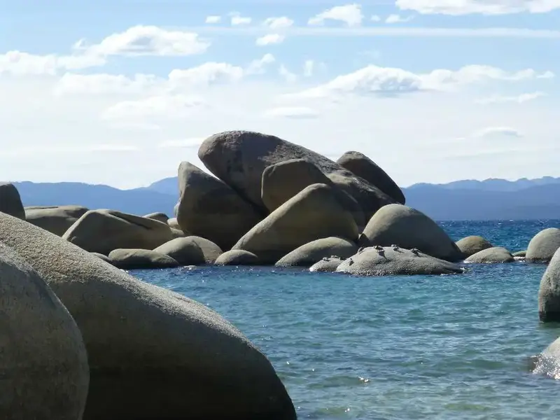Whale Rock.webp