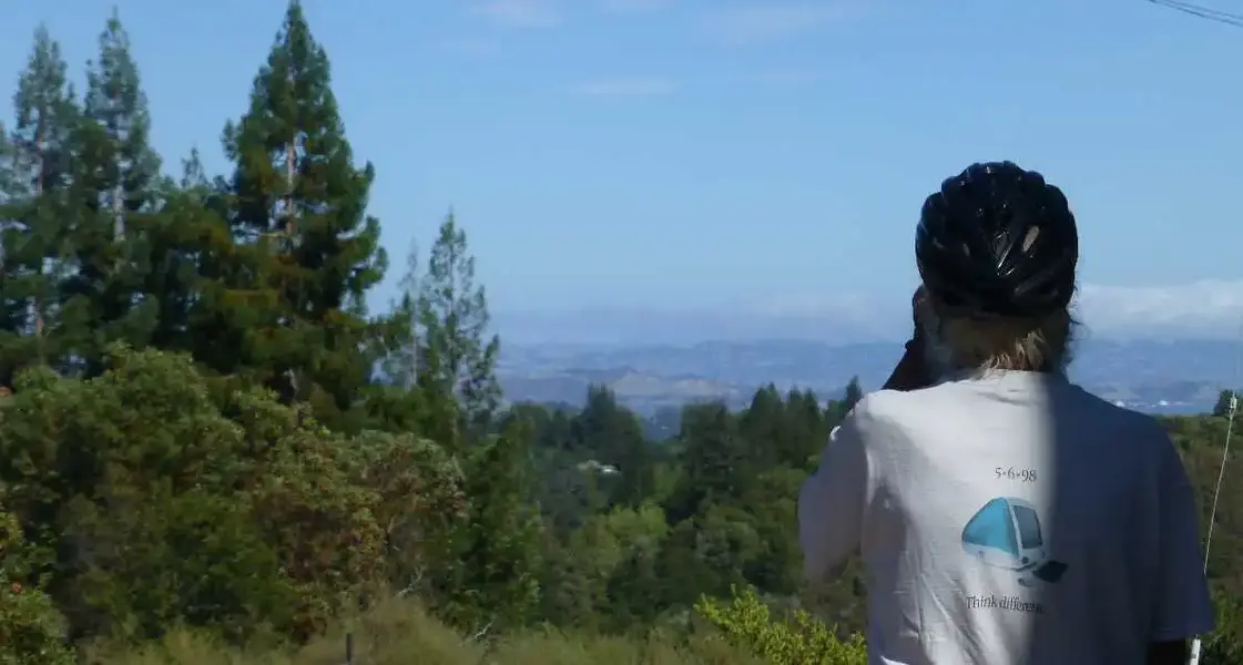 looking East at the Bay.webp