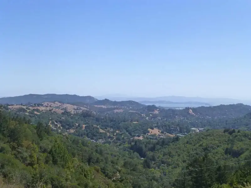 View from the top.webp