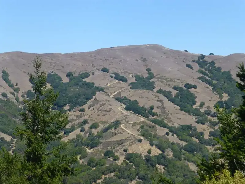 Gunsite trail up Loma Alta 1592'.webp