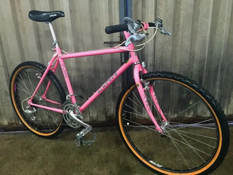 Zinn-Mini Fillet Brazed Reynolds with matching fork and stem..webp