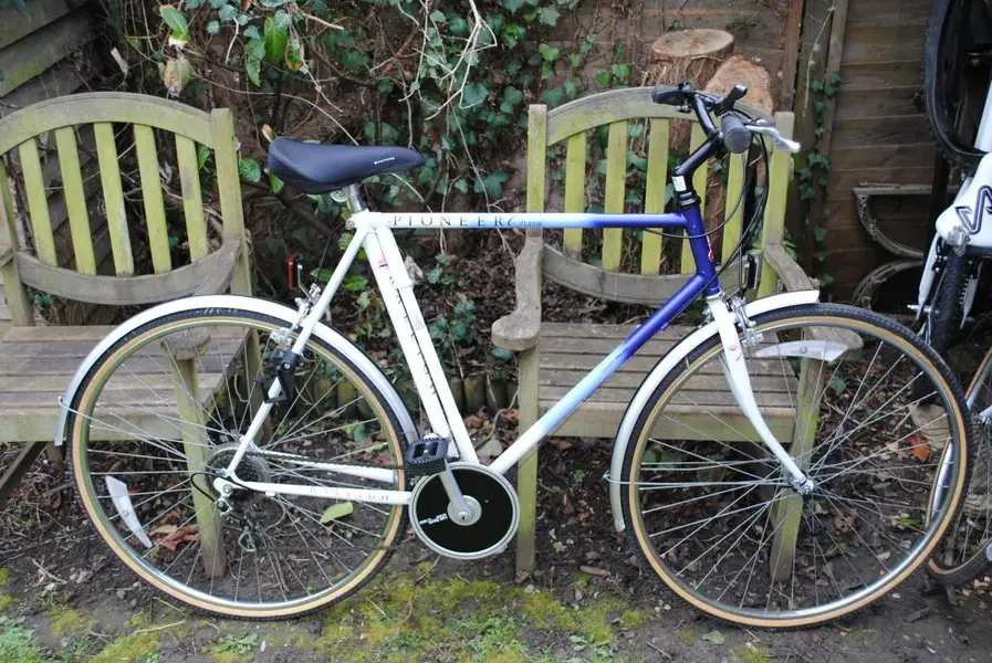 raleigh pioneer1.webp