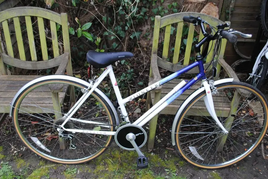 raleigh pioneer2.webp