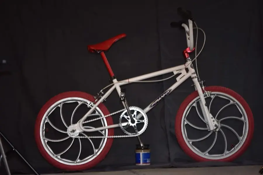 DSC_0159 (2) (1024x683).webp