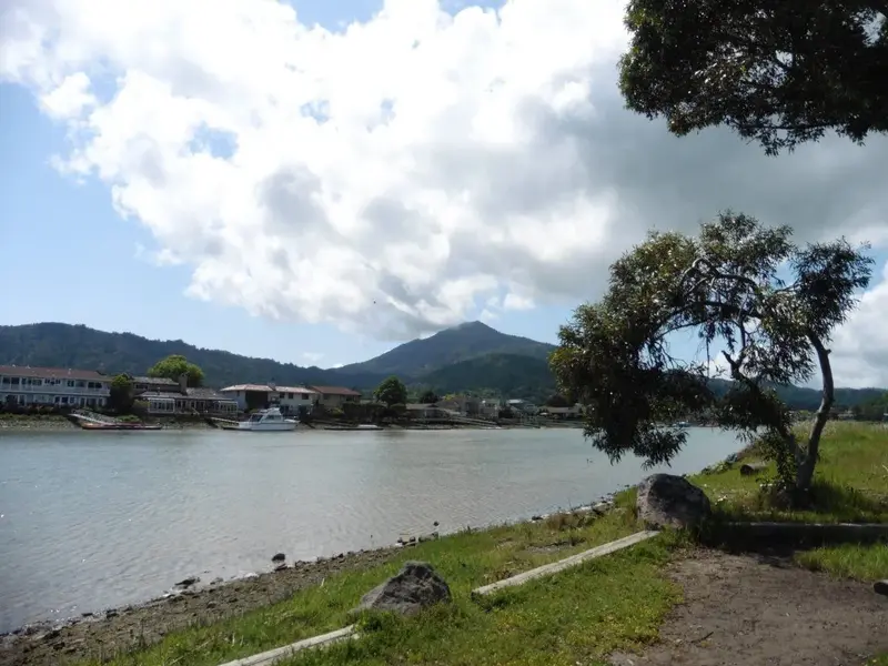 Corte Madera creek.webp