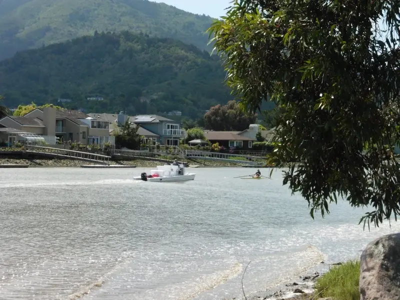 Racer and coach.webp