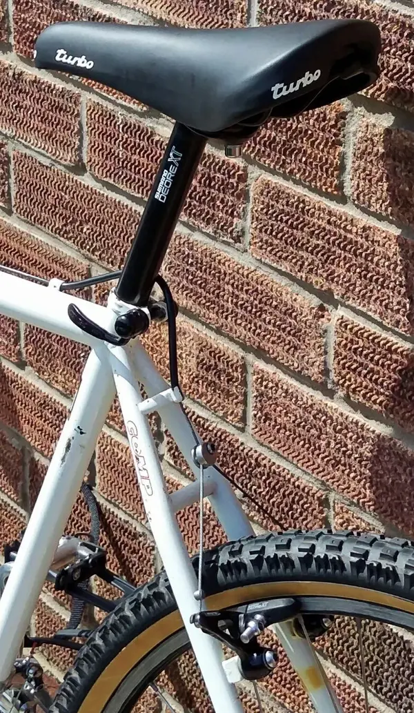 IMAG4459_1.webp