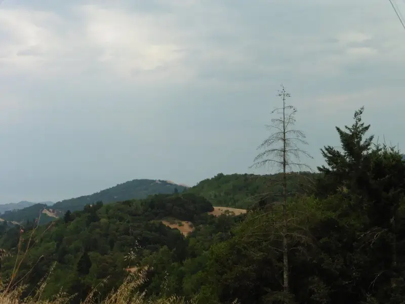 cloudy overcast.webp