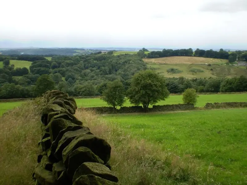 P1010685 (Medium).webp