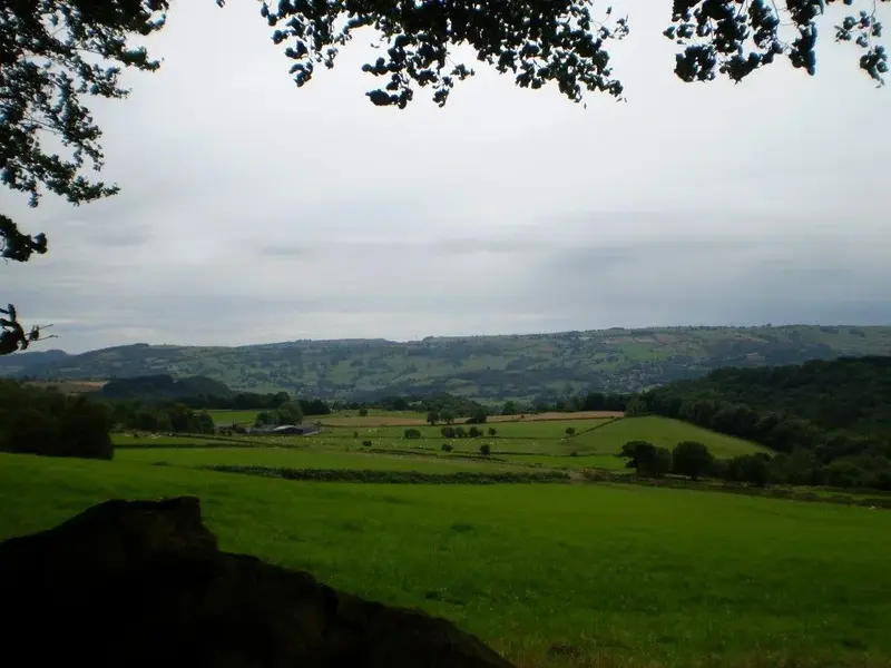 P1010684 (Medium).webp