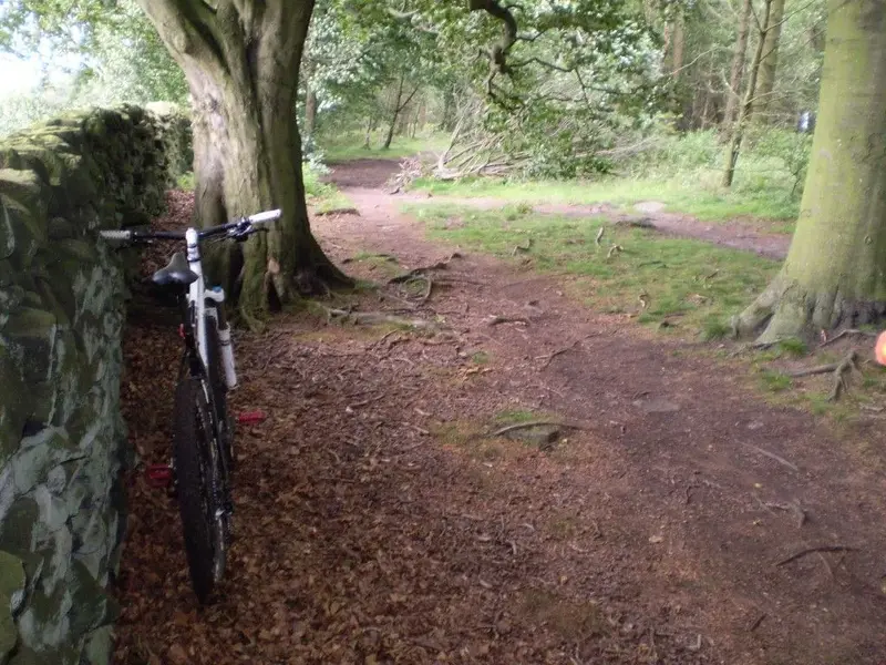 P1010680 (Medium).webp