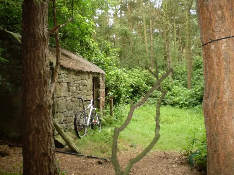 P1010677 (Medium).webp