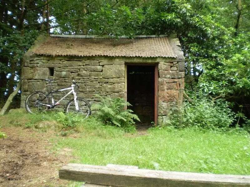 P1010674 (Medium).webp