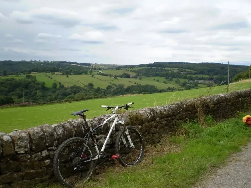 P1010673 (Medium).webp