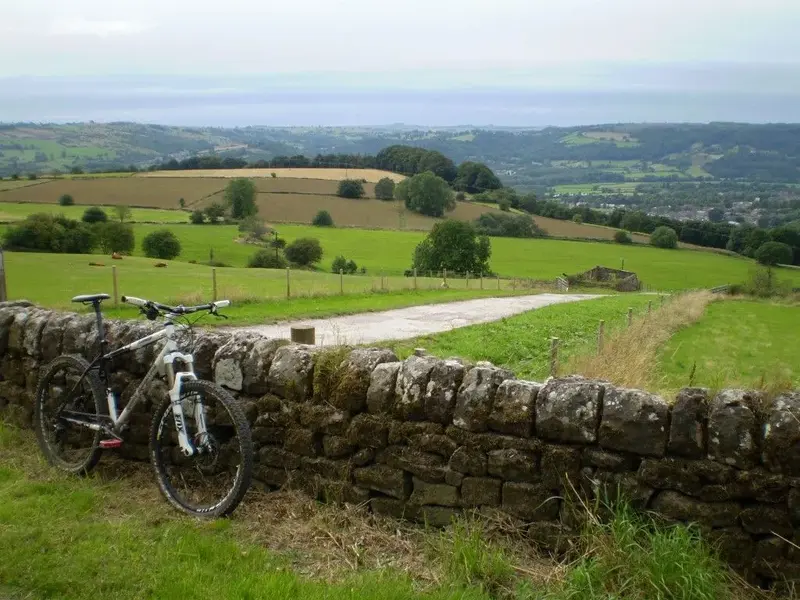 P1010671 (Medium).webp