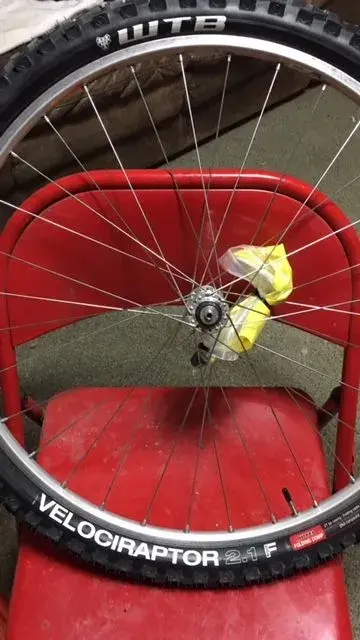 modern WTB Velociraptor.webp