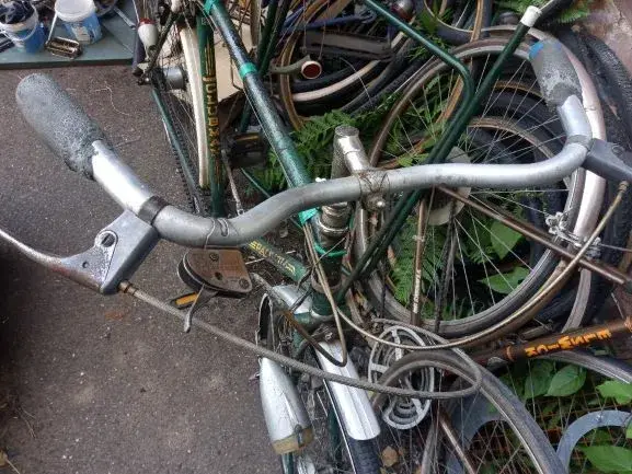 IMG_20200529_131402 lenton 2.webp