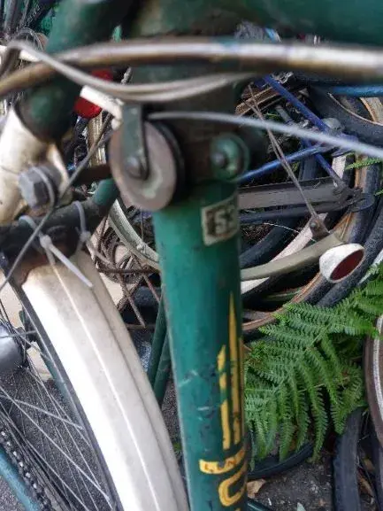 IMG_20200529_131355 lenton 5.webp