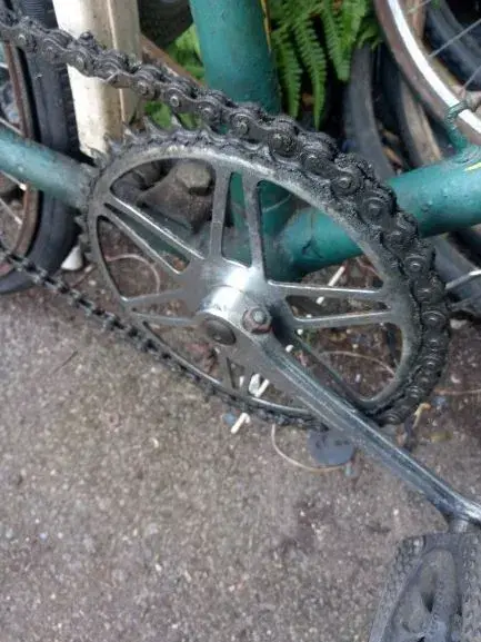 IMG_20200529_131349 lenton 4.webp