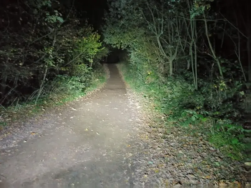 cheap light1.webp