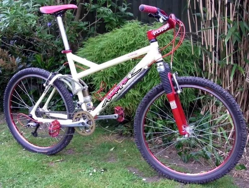 Muddy Fox Rock & Roll.webp