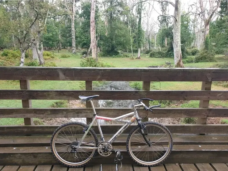 Screenshot_20211020-213725_Strava.webp