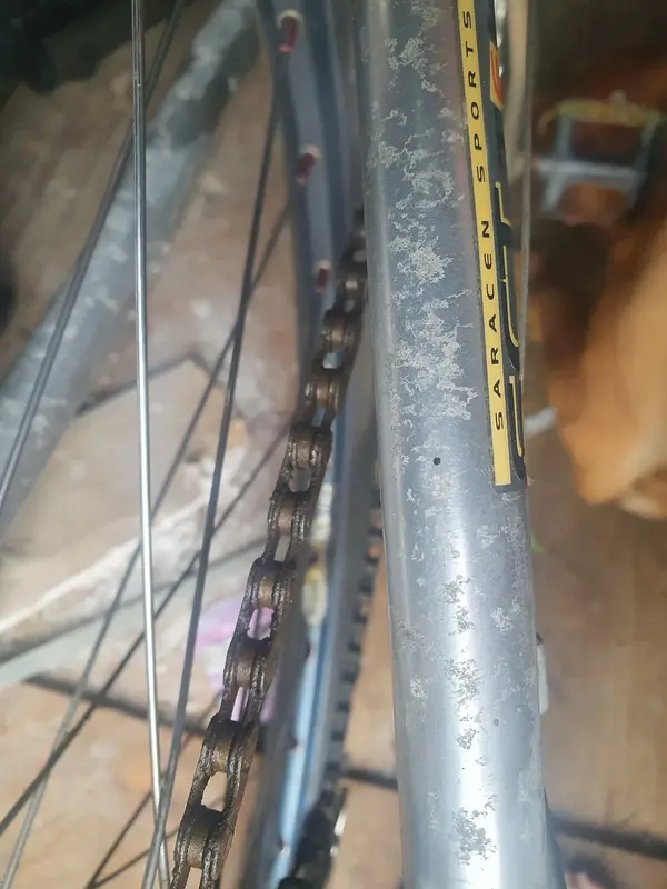 Tarnish alloy rear stanchions.webp