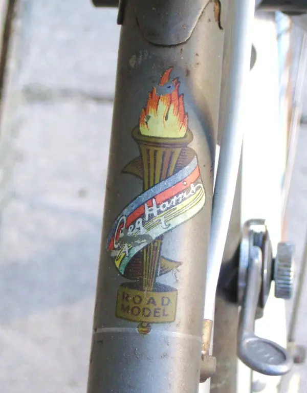 Raleigh Lenton Grand Prix 19576.webp