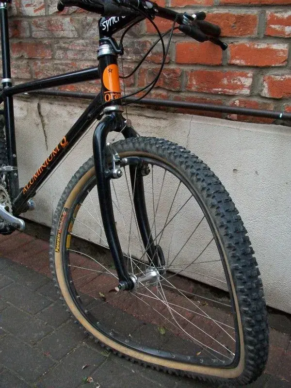 101_0279 (600x800).webp