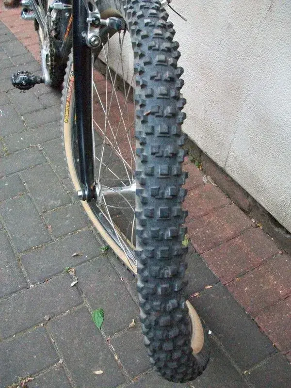 101_0280 (600x800).webp