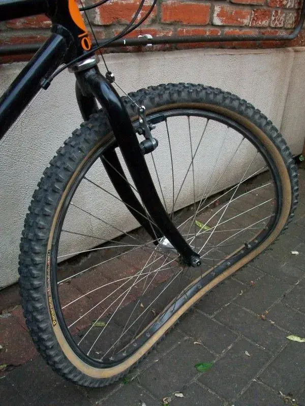 101_0281 (600x800).webp