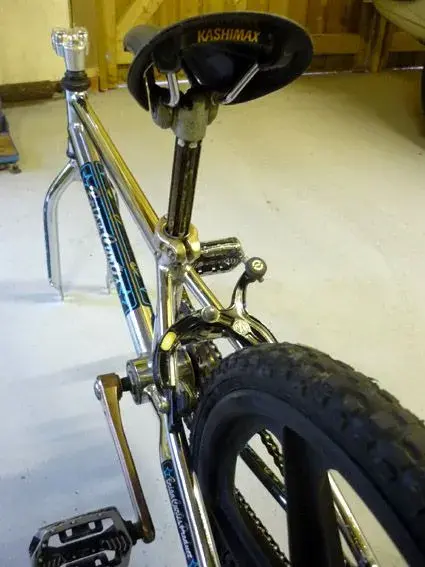 Brian Curtis Back L-R.webp