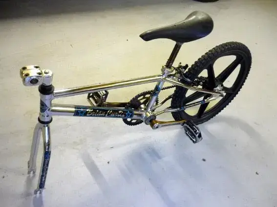 Brian Curtis N-S L-R.webp