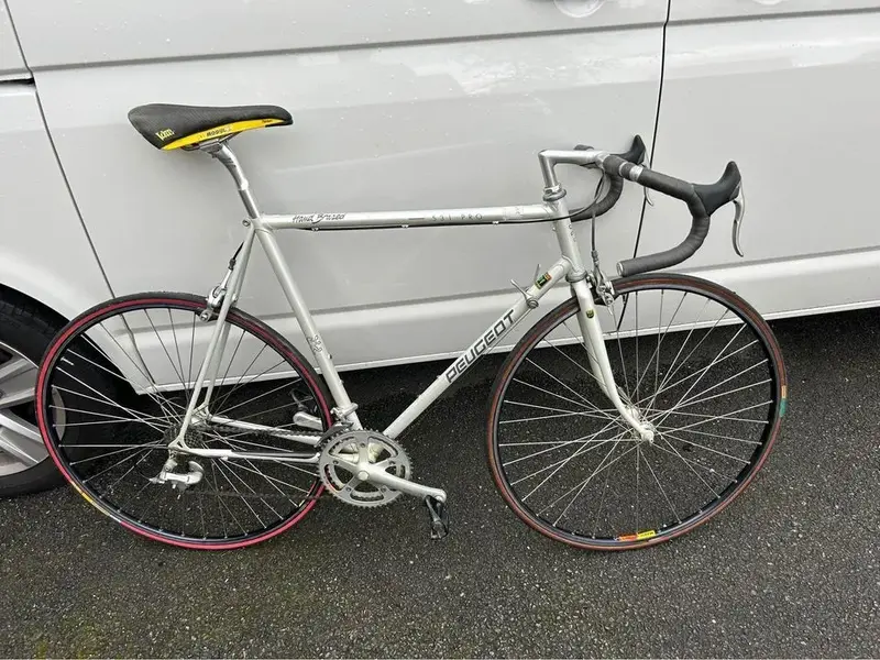 Peugeot 531 pro.webp